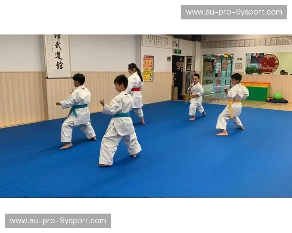 空手道触球——用身体写下无声的胜利